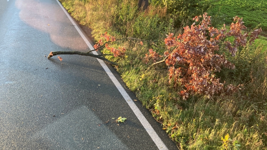 EB 600 „TH 1 – Ast auf Fahrbahn“ OT Retzen