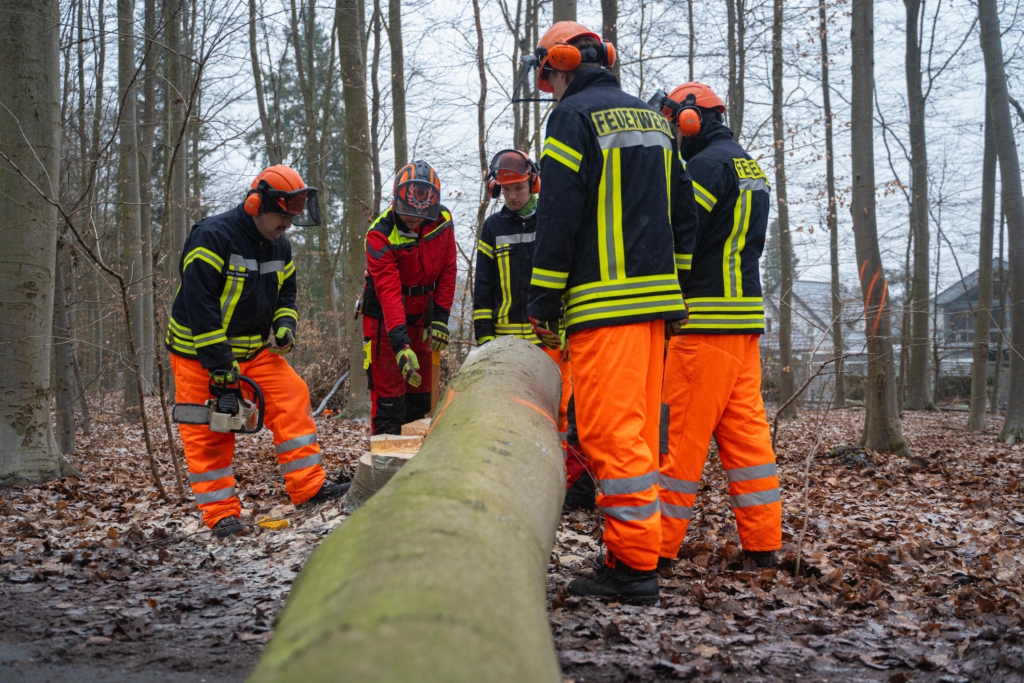 Erfolgreiche Motorsägen-Ausbildung: Lehrgänge „Modul A“ und „Modul C“ abgeschlossen