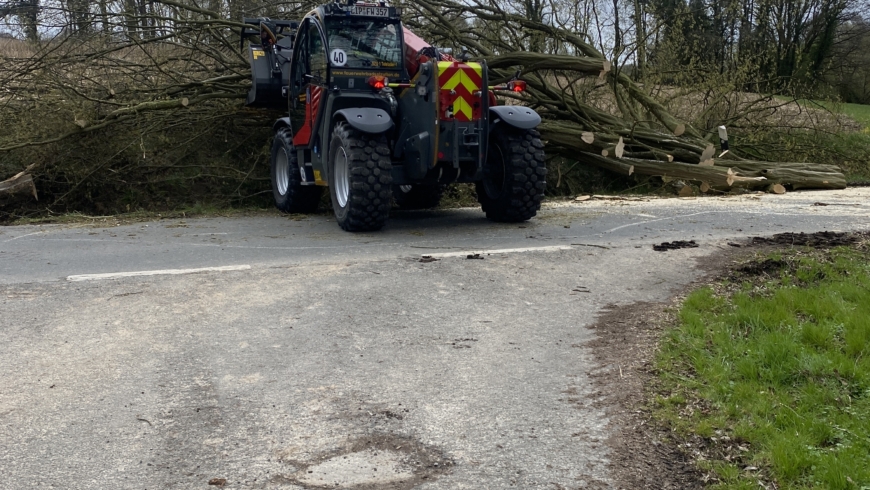 EB 203 „TH 1 – Baum über der Fahrbahn“ OT Wüsten