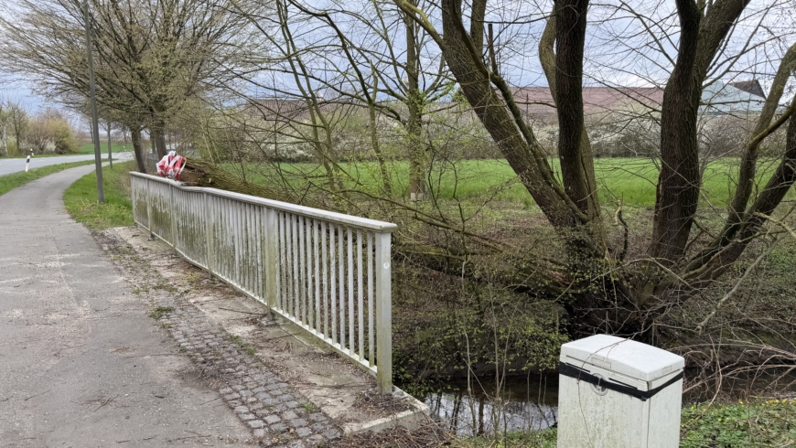 EB 202 „TH 1 – Baum auf der Fahrbahn“ OT Wülfer-Bexten