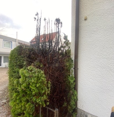 EB 340 „Feuer 2 – Brennt Hecke“ OT Bad Salzuflen