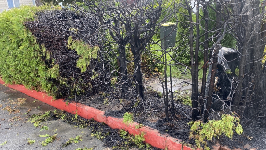 EB 343 „Feuer 2 – Brennt Hecke“ OT Schötmar
