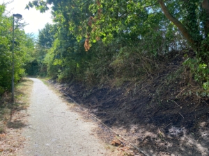 EB 516